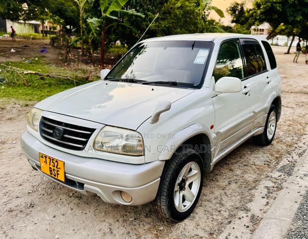 Suzuki Escudo 2004 Silver