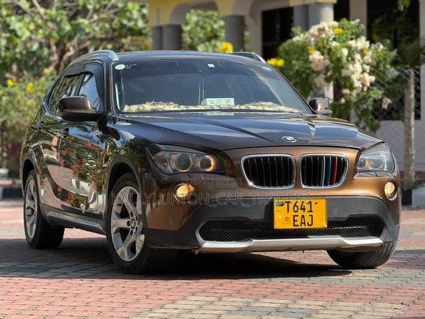 BMW X1 2017 Brown
