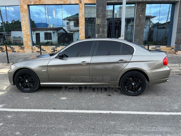 BMW 3 Series 2010 Gold
