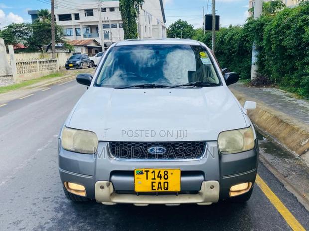 Ford Escape 2005 White