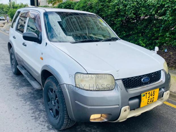Ford Escape 2005 White