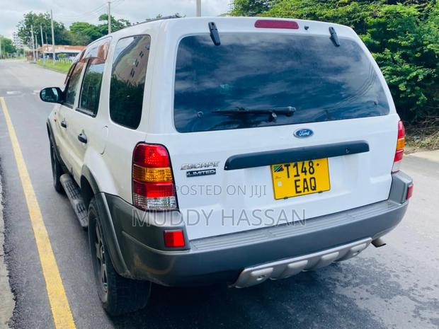 Ford Escape 2005 White