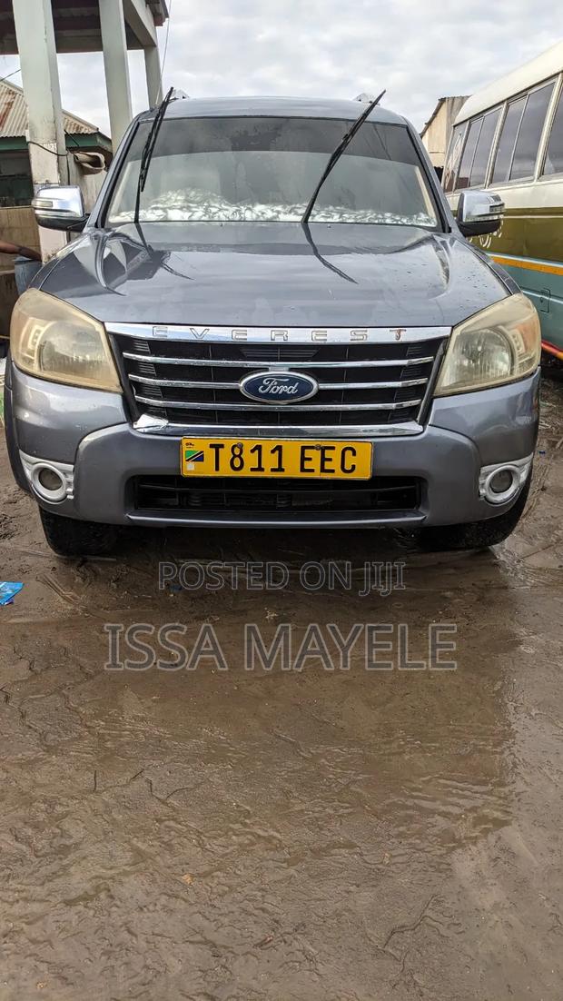Ford Everest 2008 Gray