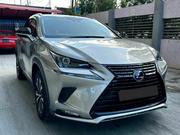 Lexus NX 2019 Gray for sale