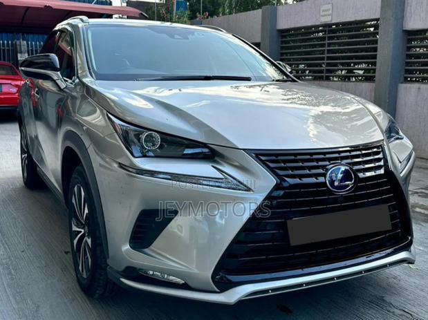Lexus NX 2019 Silver