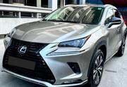 Lexus NX 2019 Silver for sale