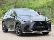 Lexus NX 2024 Gray for sale