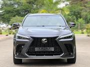 Lexus NX 2024 Gray for sale