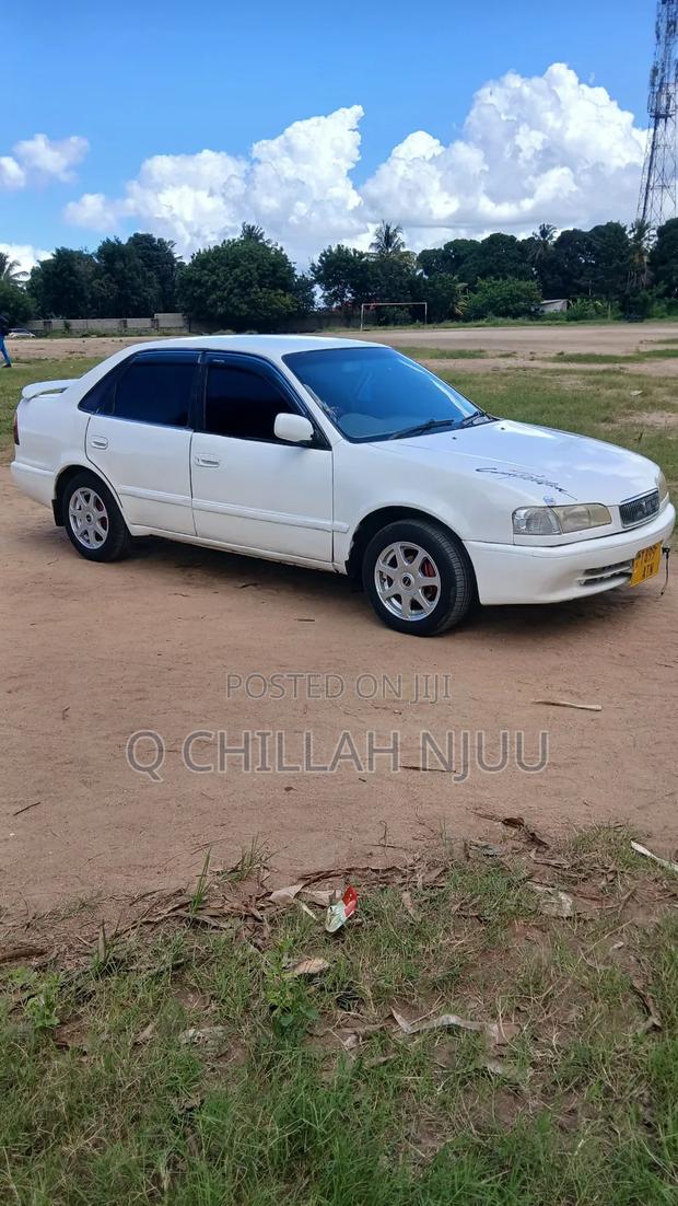Toyota Corolla 1999 White