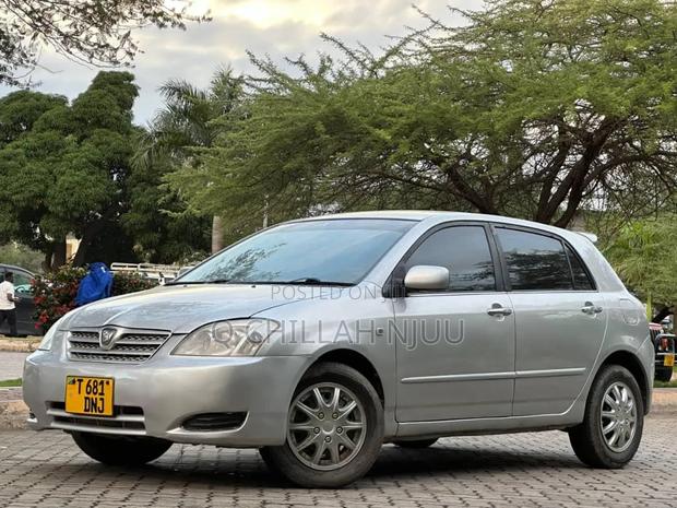 Toyota Allex 2004 Silver