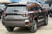 Ford Everest 2023 Gray for sale