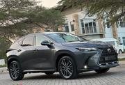 Lexus NX 2022 Gray for sale
