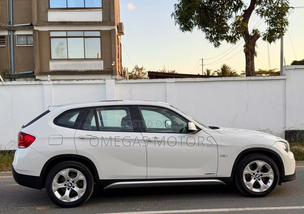BMW X1 2011 Pearl