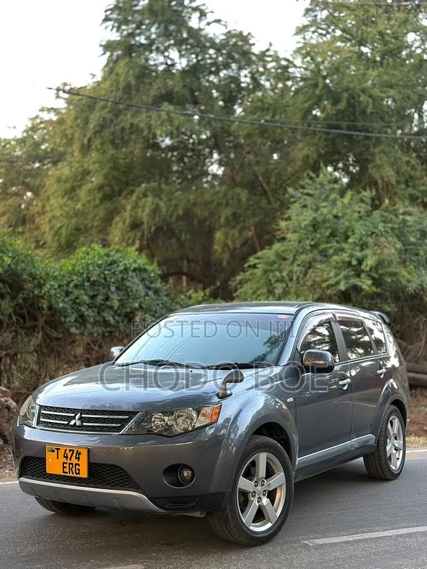 Mitsubishi Outlander 2006 Gray