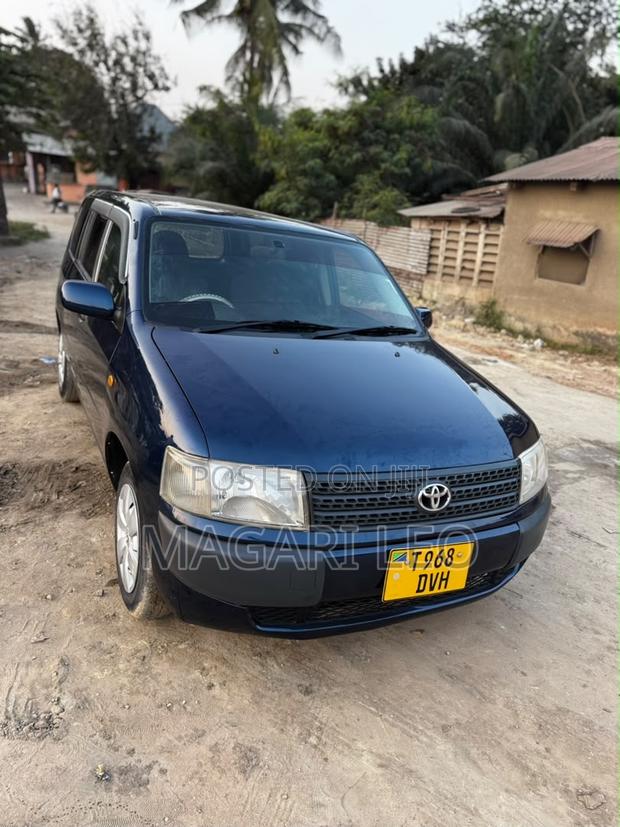 Toyota Probox 1.3 DX 2WD 2005 Blue
