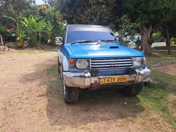 Mitsubishi Pajero 2004 Blue