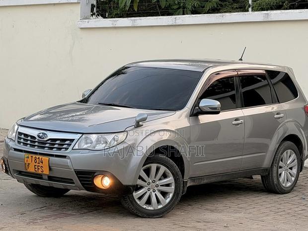 Subaru Forester 2010 Gray
