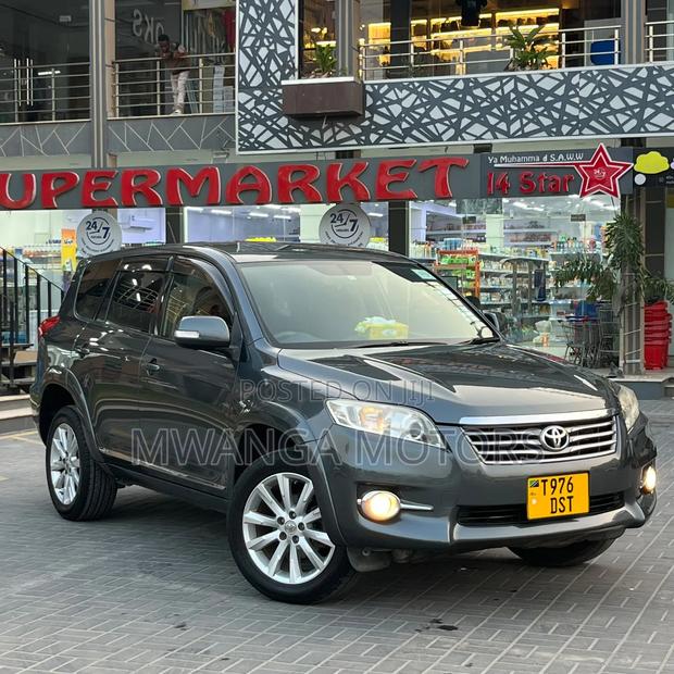 Toyota Vanguard 2010 Gray