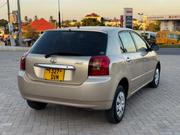 Toyota Allex 2005 Gold for sale