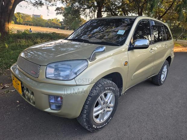 Toyota RAV4 Automatic 2003 Gold