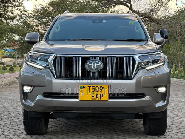 Toyota Land Cruiser Prado 2020 Gray