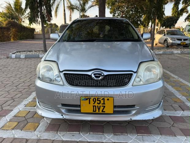 Toyota Allex 2004 Silver