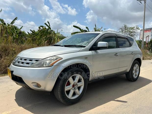 Nissan Murano 2006 Silver