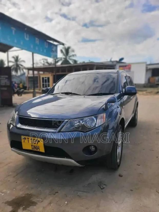 Mitsubishi Outlander 2010 Gray