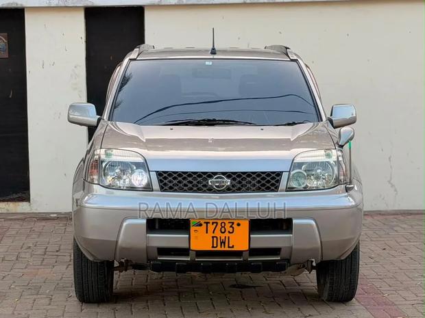 Nissan X-Trail 2004 Silver