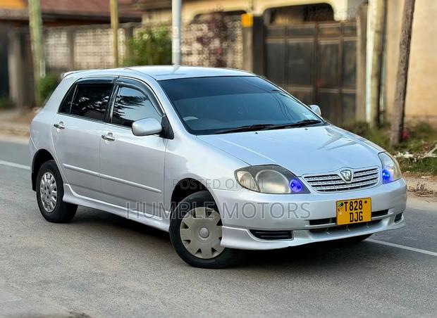 Toyota Allex 2004 Silver