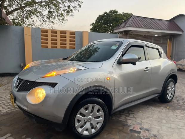 Nissan Juke 2011 Silver