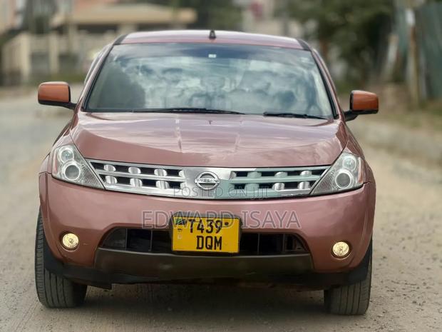 Nissan Murano 2005 Pink