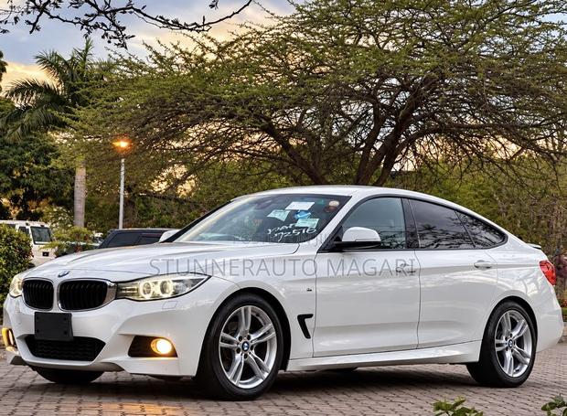 BMW 3 Series 2013 Pearl