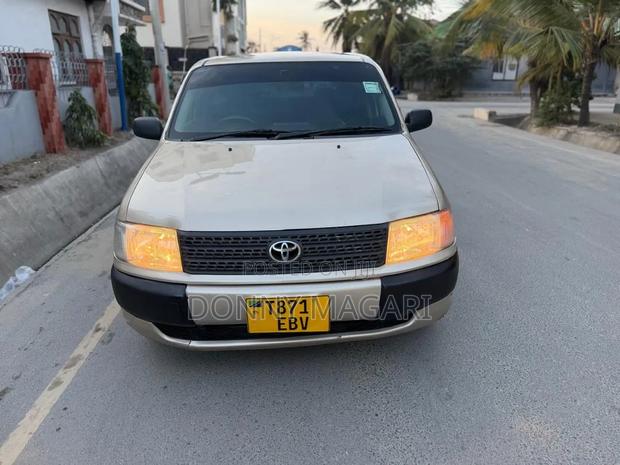Toyota Probox 2006 Gold