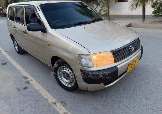 Toyota Probox 2006 Gold