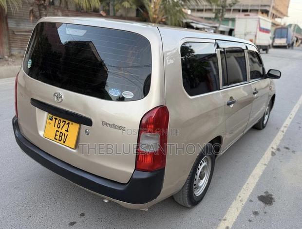 Toyota Probox 2011 Gold