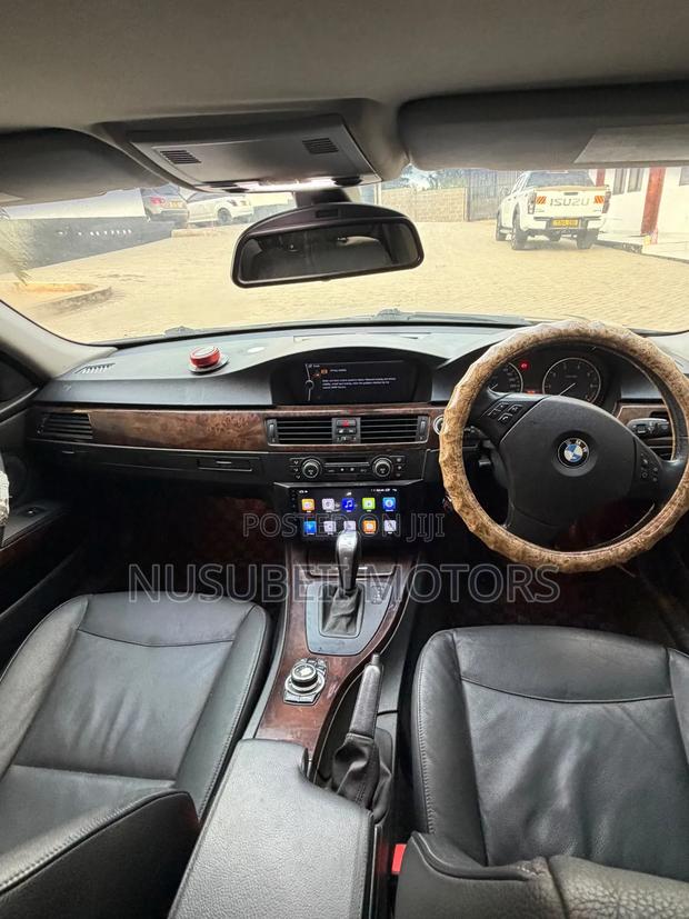 BMW 3 Series 2010 Gray
