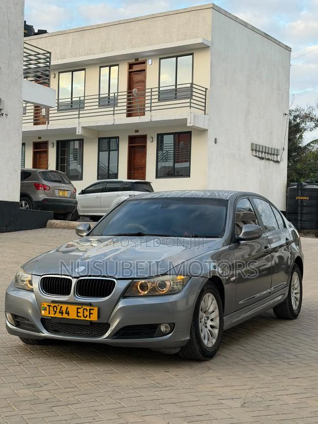 BMW 3 Series 2010 Gray