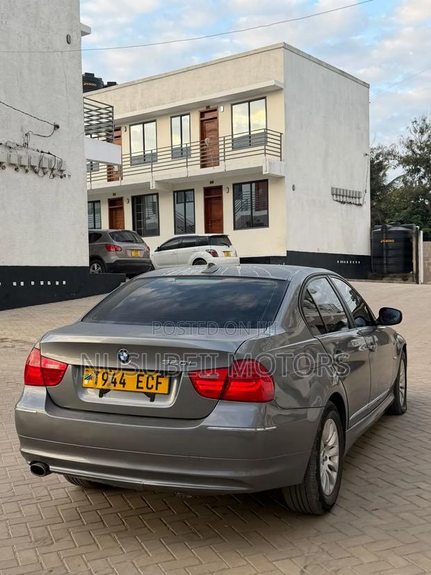 BMW 3 Series 2010 Gray