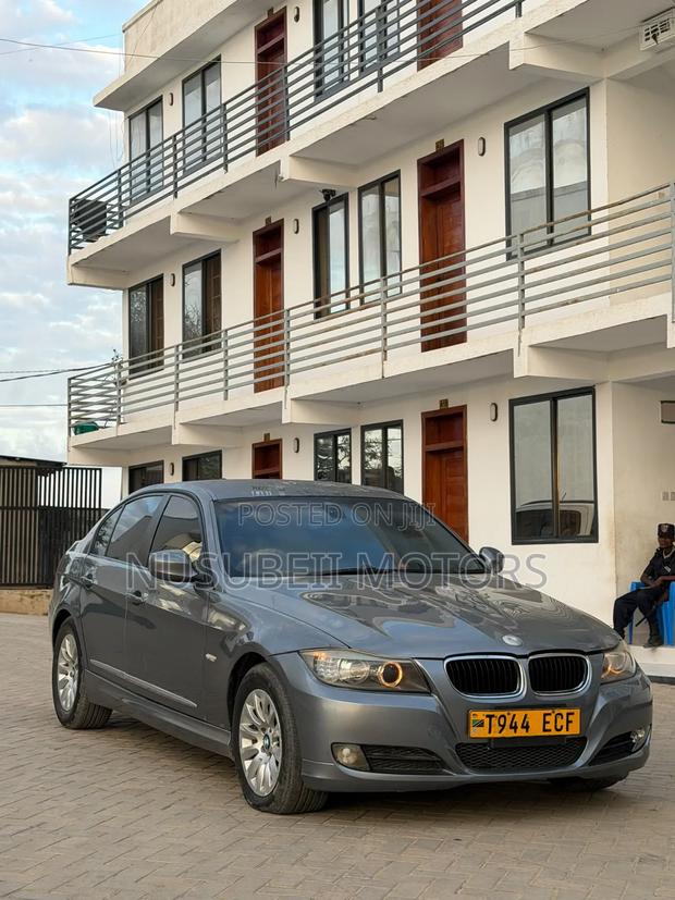 BMW 3 Series 2010 Gray