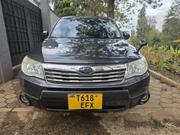 Subaru Forester 2009 Gray for sale