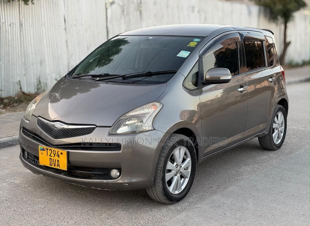 Toyota Ractis 2007 Gray