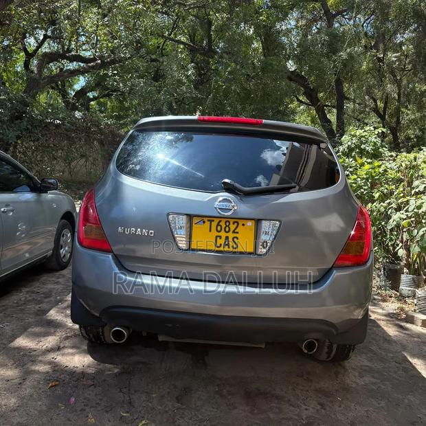Nissan Murano 2005 Silver