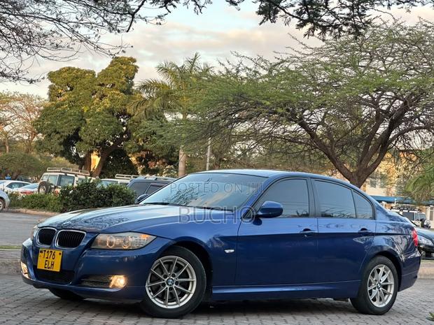BMW 3 Series 2010 Blue