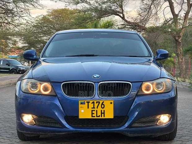 BMW 3 Series 2010 Blue