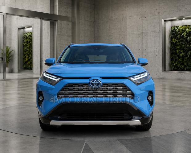 Toyota RAV4 XLE Premium AWD 2024 Blue