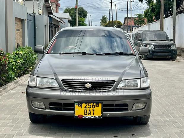 Toyota Corona Premio 1999 Gray