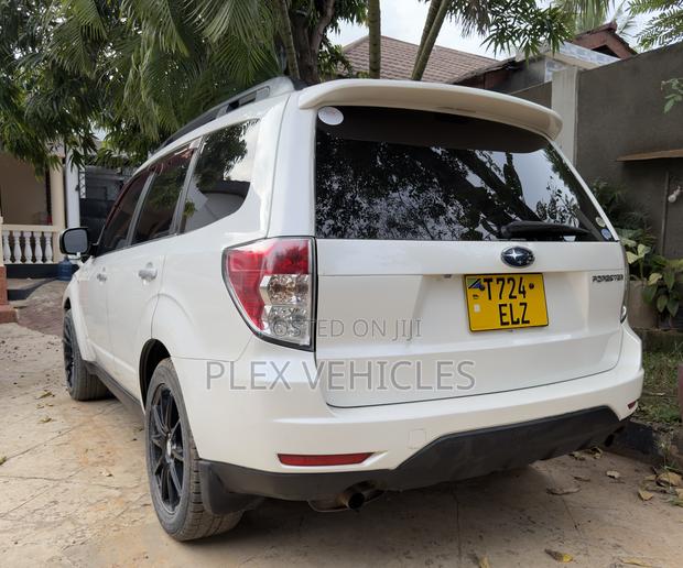Subaru Forester 2009 Pearl