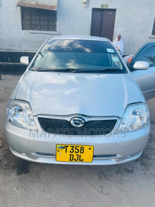 Toyota Allex 2005 Silver