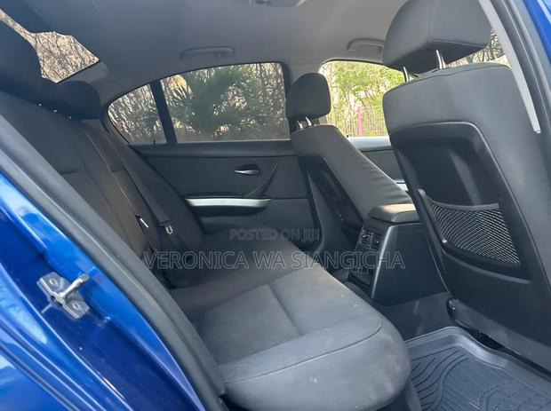 BMW 3 Series 2010 Blue